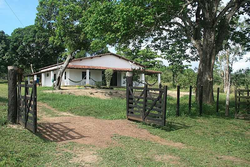 ARAAS-BA-FAZENDA LAGOA NOVA-FOTO:DIMITRI ARGOLO CERQUEIRA - ARAS - BA