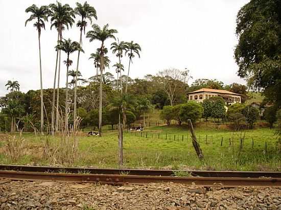 FAZENDA-FOTO:MARCELOMACAL  - PROVIDNCIA - MG