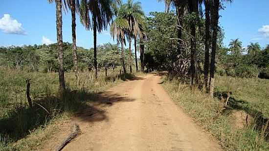 ESTRADA NA REA RURAL DE QUARTEL GERAL-FOTO:LUIZALVESSG - QUARTEL GERAL - MG