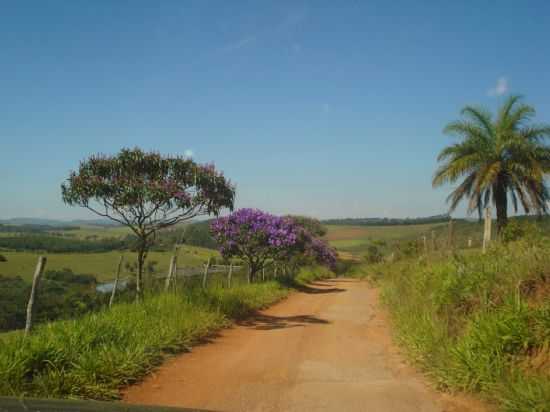 QUELUZITO-MGESTRADA DO HOTEL FAZENDA DA LAGOA-FOTO:DINE REZENDE - QUELUZITO - MG