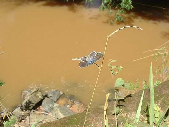 QUELUZITO-MG-PAISAGEM NO RIO PARAOPEBA-FOTO:ROGRIO SANTOS PEREI - QUELUZITO - MG