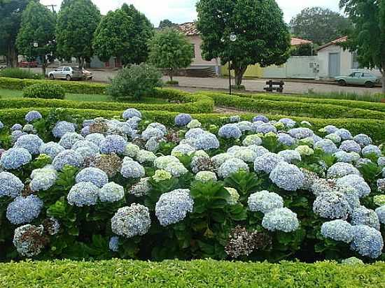 QUELUZITO-MG-PRAA DAS HORTNCIAS-FOTO:ROGRIO SANTOS PEREI - QUELUZITO - MG