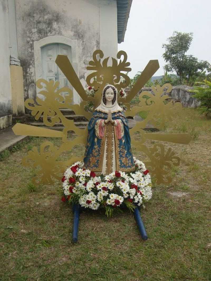 ANDOR DE NOSSA SENHORA DA ASSUNO  - RAVENA - MG