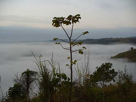 SERRA DO CASCALHO SOB A NEBLINA EM RESPLENDOR-MG-FOTO:TEDD SANTANA - RESPLENDOR - MG