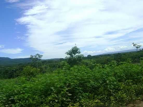 VISTA DA SERRA-FOTO:JOO CSSIO  - RIACHINHO - MG