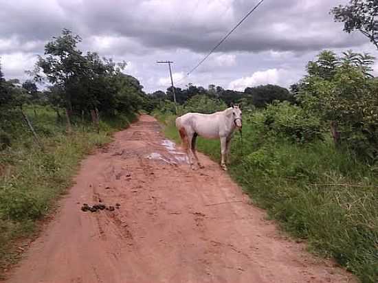 ESTRADA DE RIACHO DA CRUZ-FOTO:ANGRA - RIACHO DA CRUZ - MG