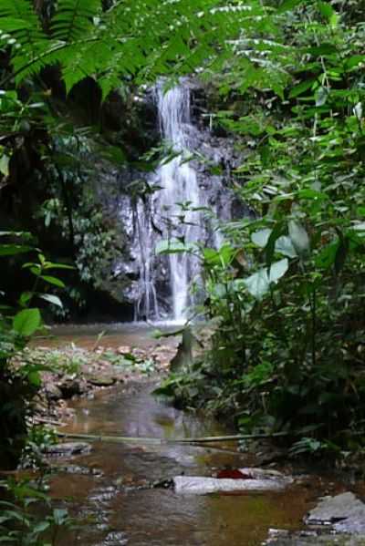 CACHU NA TRILLHA POR TATO.FERREIRA - RIO ACIMA - MG