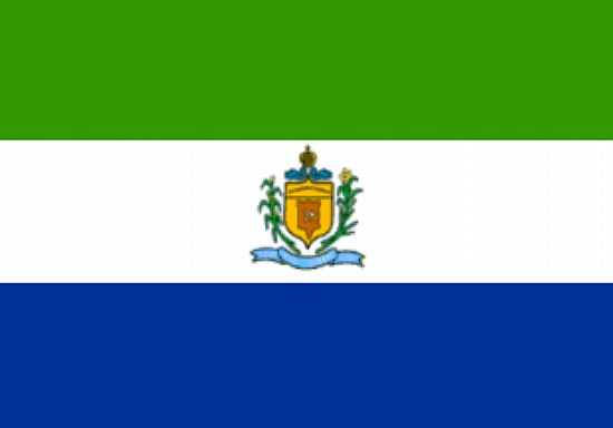 BANDEIRA DE RIO NOVO=MG - RIO NOVO - MG