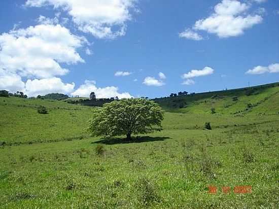 PAISAGEM-FOTO:LARISSAOLIVEIRA  - ROA GRANDE - MG