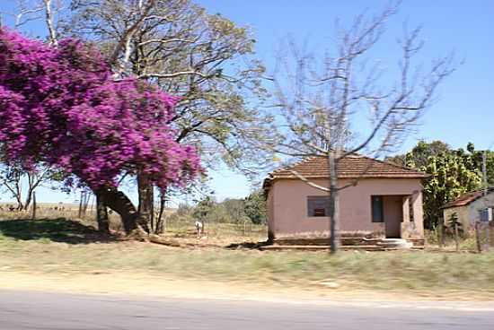 IMAGEM RURAL EM SALITRE DE MINAS-FOTO:OSVALDO GOMES14 - SALITRE DE MINAS - MG