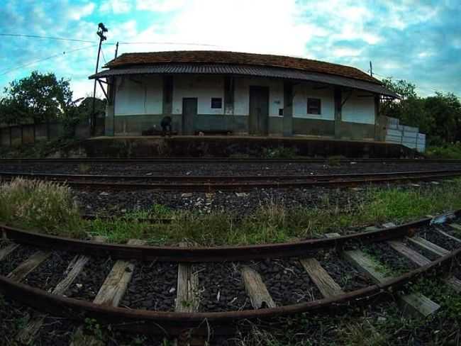 , POR FBIO JUNIO - SALITRE DE MINAS - MG