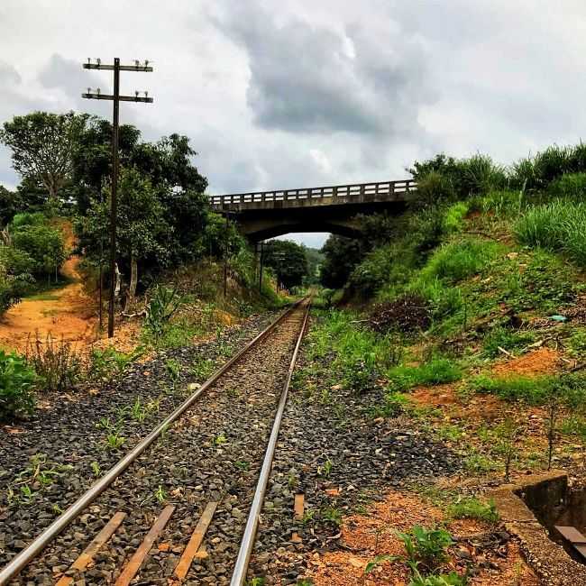 , POR FBIO JUNIO - SALITRE DE MINAS - MG