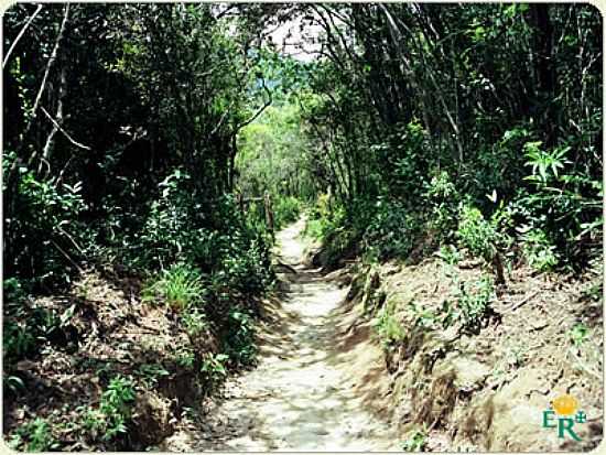 SANTA BRBARA MG