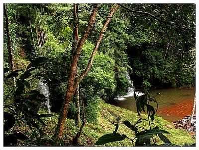 O VERDE DE SANTA BRBARA DO TUGRIO FOTO POR GLUCIO DUTRA ROCHA - SANTA BRBARA DO TUGRIO - MG