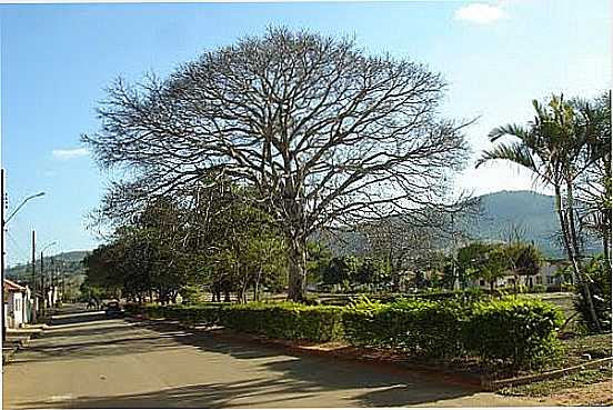 PRAA-FOTO:PROFGILSON  - SANTA CRUZ DA APARECIDA - MG