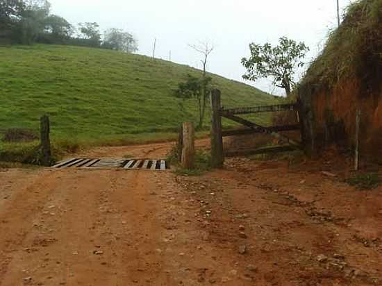 MATA BURRO NA ENTRADA DO STIO MERENGO EM SANTA CRUZ DO ESCALVADO-MG-FOTO:RAFAEL SGUIZZATO - SANTA CRUZ DO ESCALVADO - MG