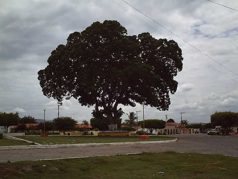 ARGOIM-BA-PRAA PRINCIPAL-FOTO:ECFIGUEIREDO - ARGOIM - BA