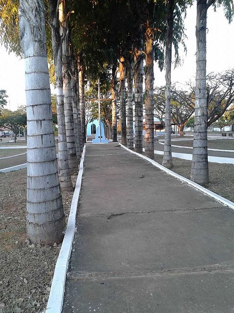 IMAGEM DA COMUNIDADE DE SANTA LUZIA DA SERRA - MG - SANTA LUZIA DA SERRA - MG