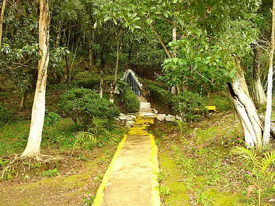 SANTA RITA DE CALDAS-MG-PONTE NO RIACHO-FOTO:LUIZ SALOMO - SANTA RITA DE CALDAS - MG