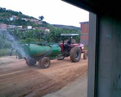 TRATANDO PARA  O CALAMENTO , POR OLGA SIMES - SANTA RITA DE MINAS - MG