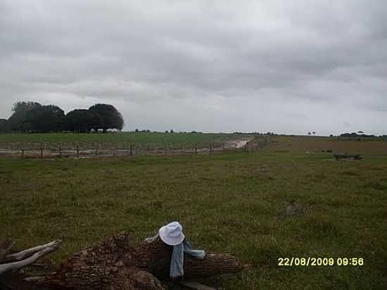 UM CHAPU PERDIDO NA REGIO DA FAZENDA DA PEDRAS (PRXIMO A ARGOLO)  POR JMDF - ARGOLO - BA