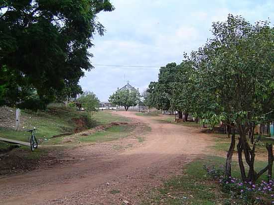 SANTA RITA DO CEDRO-FOTO:JOS GERALDO MENDES  - SANTA RITA DO CEDRO - MG