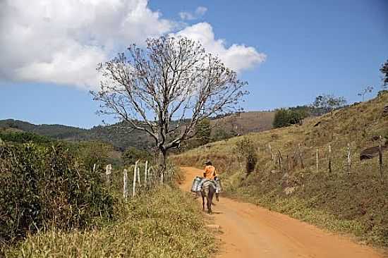 ESTRADA RURAL EM SANTA RITA DO IBITIPOCA-MG-FOTO:HALLEY OLIVEIRA - SANTA RITA DO IBITIPOCA - MG