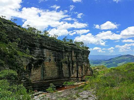 PARQUE ESTADUAL DE IBITIPOCA-FOTO:CLAUDIOEANGELA - SANTA RITA DO IBITIPOCA - MG