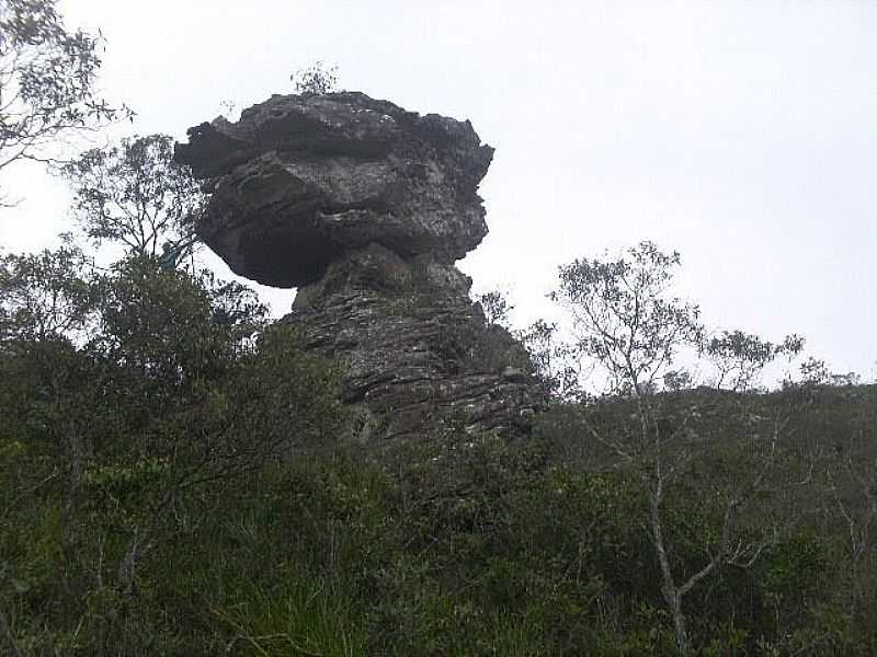 SANTA RITA DO ITUETO-MG-PEDRA DO SAPO NO PARQUE ESTADUAL SETE SALES-FOTO:ALLAN HENRIQUE DE SOUSA - SANTA RITA DO ITUETO - MG