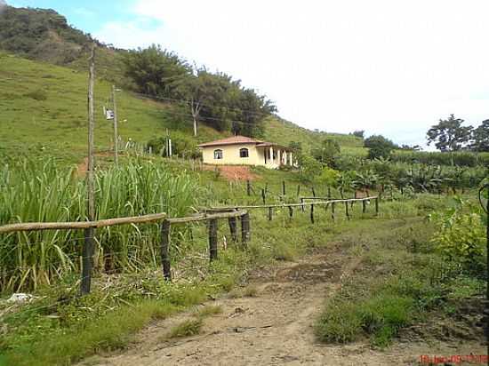 REA RURAL-FOTO:EDSON MARDEN  - SANTA ROSA DE LIMA - MG