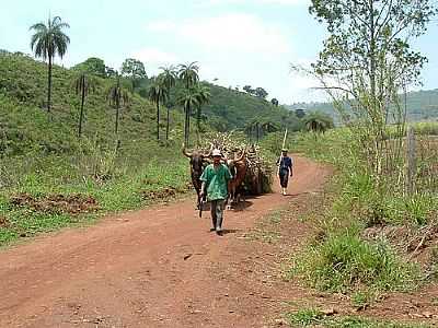 SANTA TEREZINHA DE MINAS FOTO MONTANHA - SANTA TEREZINHA DE MINAS - MG