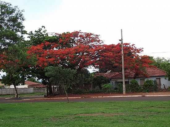 SANTA VITRIA-MG-AVENIDA BRASIL COM RIO GRANDE DO SUL-FOTO:ESPIRITO_DEPORCO_SV - SANTA VITRIA - MG