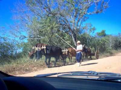 CARRO DE BOI EM SANTANA, POR RENATO AUGUSTO VELHO - SANTANA DO GARAMBU - MG