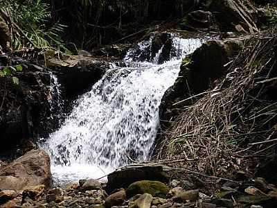 CACHOEIRA DA FAZENDA RUINAS DO MAU CABELO - SANTANA DOS MONTES - MG