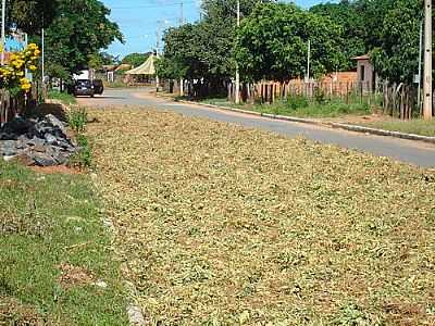 VISTA DA RUA VARZELANDIA POR FRANK MARTINS DE SOUZA - SANTO ANTNIO DA BOA VISTA - MG