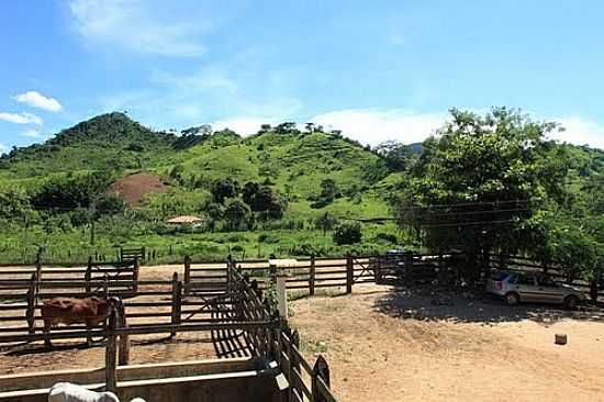 FAZENDA SOSSEGO EM SANTO ANTNIO DA FORTALEZA-FOTO:GILSON DE SOUZA - SANTO ANTNIO DA FORTALEZA - MG