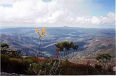 FOTO:VERDESEVEREDAS - SANTO ANTNIO DO ITAMB - MG