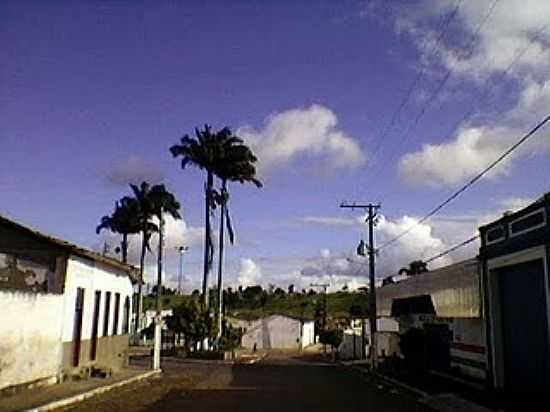 DISTRITO DE BAIXA DO PALMEIRA, MUNICPIO DE SAPEAU - BAIXA DO PALMEIRA - BA