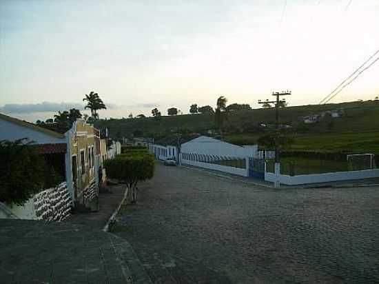 DISTRITO DE BAIXA DO PALMEIRA, MUNICPIO DE SAPEAU - BAIXA DO PALMEIRA - BA