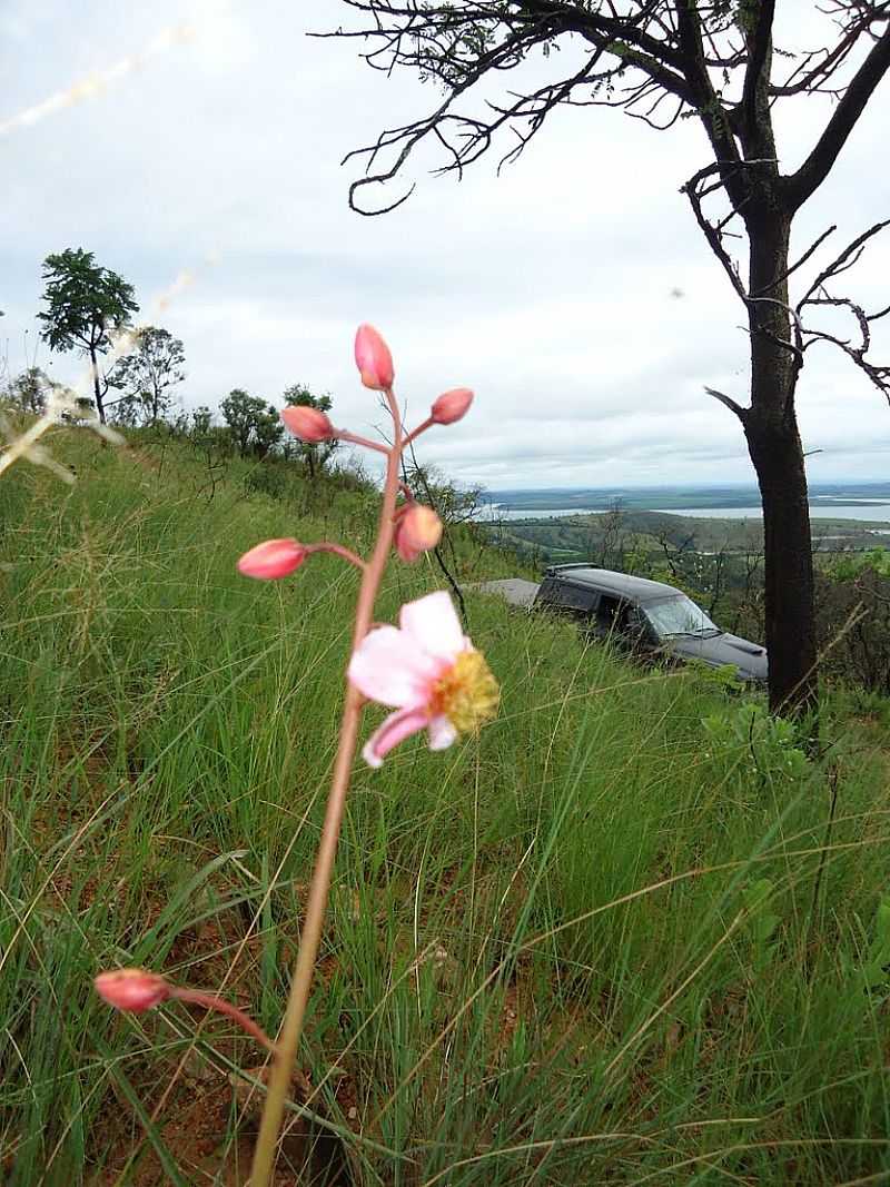 SANTO HILRIO-MG-ALTO DA SERRA-FOTO:PROF. DR. IVAN ANDRADE - SANTO HILRIO - MG