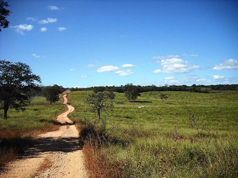 SANTO HIPLITO-MG-ESTRADA RURAL-FOTO:LEANDRO DURES - SANTO HIPLITO - MG