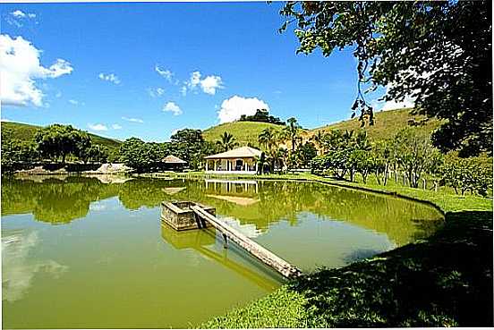 FAZENDA CARAMNIO-FOTO:SGTRANGEL   - SO DOMINGOS - MG