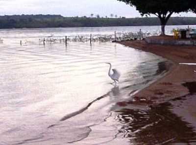 
	

PRAINHA PORTO BRASIL NO RIO GRANDE
	 - SO FRANCISCO DE SALES - MG