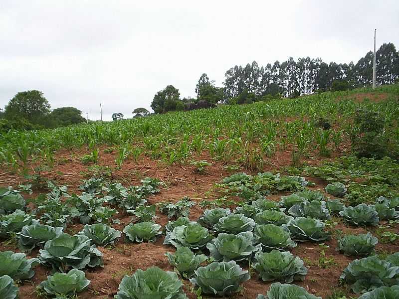 SO GONALO DE BOTELHOS - MG FOTO PREFEITURA MUNICIPAL DE BOTELHOS - MG - SO GONALO DE BOTELHOS - MG