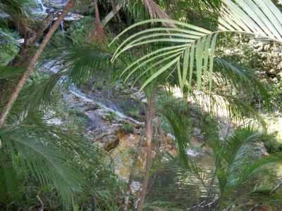 GRUTA DO LOBO GUAR, POR LILIAN MACHADO/COORDENADORA DO TURISMO - SO JOO BATISTA DO GLRIA - MG