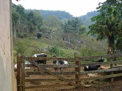 CURRAL DA FAZENDA BOA ESPERANA-FOTO:FTADEU - SO JOO DA SERRA - MG