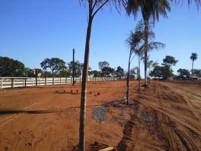 PARQUE DE VAQUEJADA, POR JOO PEREIRA - SO JOO DO PACU - MG