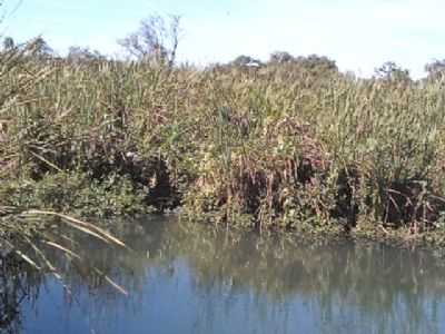 RIO SUMIDOURO, POR JOO PEREIRA - SO JOO DO PACU - MG