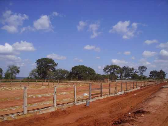 PARQUE DE VAQUEJADA, POR PYTER - SO JOO DO PACU - MG