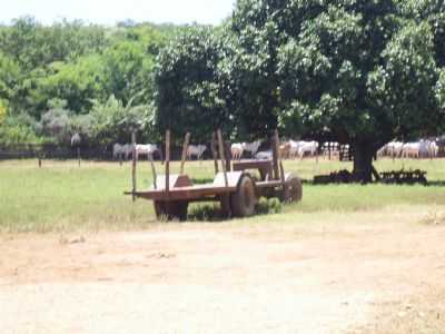 FAZENDA, POR JOO PEREIRA - SO JOO DO PACU - MG